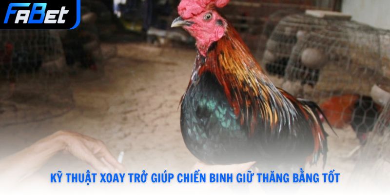 Kỹ thuật xoay trở giúp chiến binh giữ thăng bằng tốt